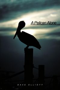 Produktbild: A Pelican Alone