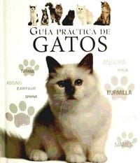 Produktbild: Gu&iacute;a pr&aacute;ctica de gatos