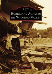 Produktbild: Hurricane Agnes in the Wyoming Valley