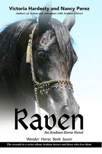 Produktbild: Raven