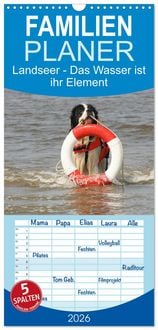 Produktbild: Familienplaner 2026 - Landseer - Das Wasser ist ihr Element mit 5 Spalten (Wandkalender, 21 x 45 cm) CALVENDO
