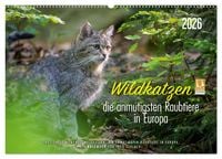 Produktbild: Wildkatzen - die anmutigsten Raubiere in Europa. (Wandkalender 2026 DIN A2 quer), CALVENDO Monatskalender