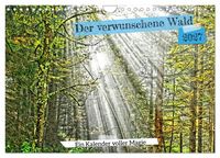 Produktbild: Verwunschene Waldtr&auml;ume: Ein Kalender voller Magie (Wandkalender 2027 DIN A4 quer), CALVENDO Monatskalender