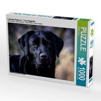 Produktbild: CALVENDO Puzzle Labrador Retriever - Treue Begleiter | 1000 Teile Lege-Gr&ouml;&szlig;e 64x48cm Foto-Puzzle f&uuml;r gl&uuml;ckliche Stunden