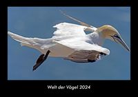 Bild vom Artikel Welt der Vögel 2024 Fotokalender DIN A3 vom Autor Tobias Becker