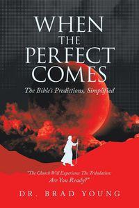 Produktbild: When the Perfect Comes