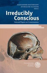 Produktbild: Irreducibly Conscious
