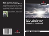 Produktbild: Prison situations and cruel, inhuman and degrading treatment