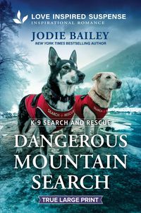 Produktbild: Dangerous Mountain Search