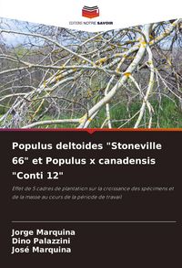 Produktbild: Populus deltoides "Stoneville 66" et Populus x canadensis "Conti 12"