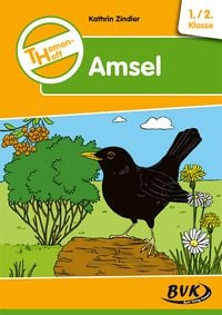 Produktbild: Themenheft Amsel 1./2. Klasse