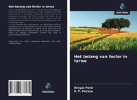 Produktbild: Het belang van fosfor in tarwe