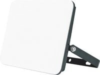 Produktbild: M&uuml;ller-Licht Orlando 21600071 LED-Au&szlig;enstrahler 20W Leuchtfarben: Neutralwei&szlig;