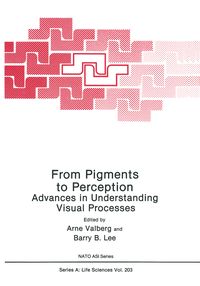Produktbild: From Pigments to Perception