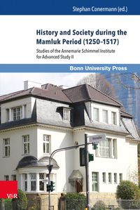 Produktbild: History and Society during the Mamluk Period (1250&ndash;1517)