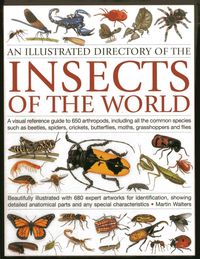 Produktbild: Walters, M: Illustrated Directory of the Insects of the Worl