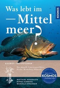 Produktbild: Was lebt im Mittelmeer?