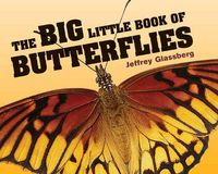 Produktbild: The Big Little Book of Butterflies