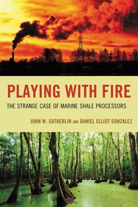 Produktbild: Playing with Fire