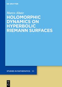 Produktbild: Holomorphic Dynamics on Hyperbolic Riemann Surfaces