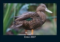 Produktbild: Enten 2027 Fotokalender DIN A5