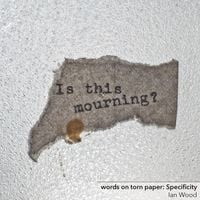 Produktbild: words on torn paper