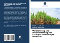 Produktbild: Verbrennung und Mitverbrennung von krautiger und holziger Biomasse