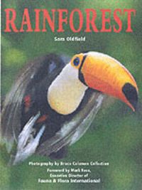 Produktbild: Rainforest