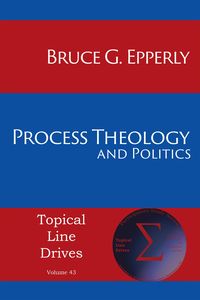 Produktbild: Process Theology and Politics