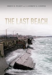 Produktbild: Last Beach