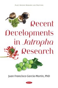 Produktbild: Recent Developments in Jatropha Research
