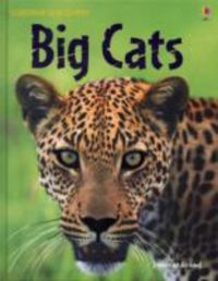 Produktbild: Shiekh-Miller, J: Big Cats