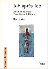 Produktbild: Job Apres Job ; Destinee Litteraire D'Une Figure Biblique