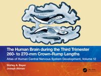 Produktbild: The Human Brain during the Third Trimester 260- to 270-mm Crown-Rump Lengths