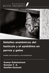 Produktbild: Detalles anat&oacute;micos del test&iacute;culo y el epid&iacute;dimo en perros y gatos