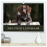 Produktbild: Faszination Jagdhund - Deutsch Langhaar (hochwertiger Premium Wandkalender 2026 DIN A2 quer), Kunstdruck in Hochglanz