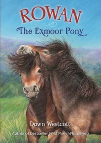 Produktbild: Rowan The Exmoor Pony