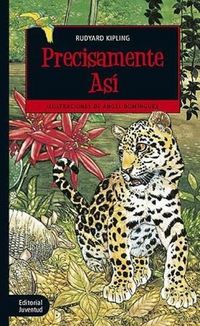 Produktbild: Precisamente as&iacute;