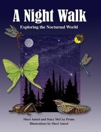 Produktbild: A Night Walk