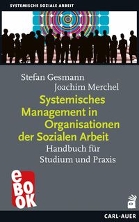 Produktbild: Systemisches Management in Organisationen der Sozialen Arbeit