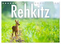 Produktbild: Rehkitz - Flinke kleine Bambis. (Tischkalender 2026 DIN A5 quer), CALVENDO Monatskalender