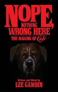 Produktbild: Nope, Nothing Wrong Here