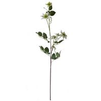Produktbild: HTI-Living Fr&uuml;hlingsblume Flora03, Kunstpflanze Fr&uuml;hlingsblume Flora03, Kunstpflanze