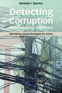 Produktbild: Detecting Corruption in Developing Countries: Identifying Causes/Strategies for Action