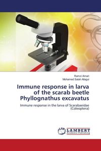 Produktbild: Immune response in larva of the scarab beetle Phyllognathus excavatus