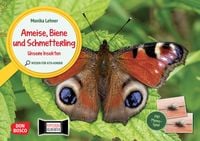 Produktbild: Ameise, Biene und Schmetterling. Unsere Insekten. Kamishibai Bildkarten und Memo-Spiel