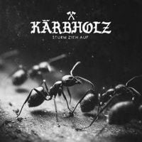 Produktbild: Sturm zieh auf (Digipak)