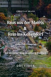 Bild vom Artikel Raus aus der Matrix-Rein ins Keltendorf vom Autor Christian Brand