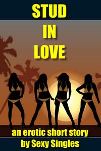 Produktbild: Stud in Love