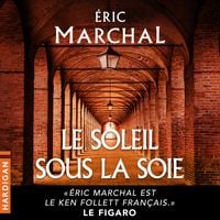 Produktbild: Le Soleil sous la soie